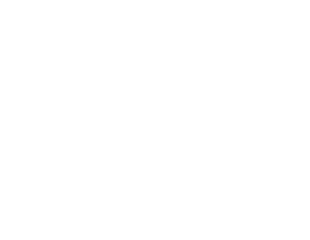 Journey Air Ltd. Since 2004